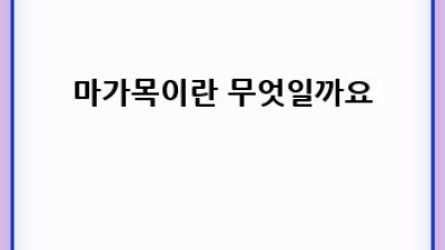 마가목 효능: 건강하게 즐기는 방법 알아보기
